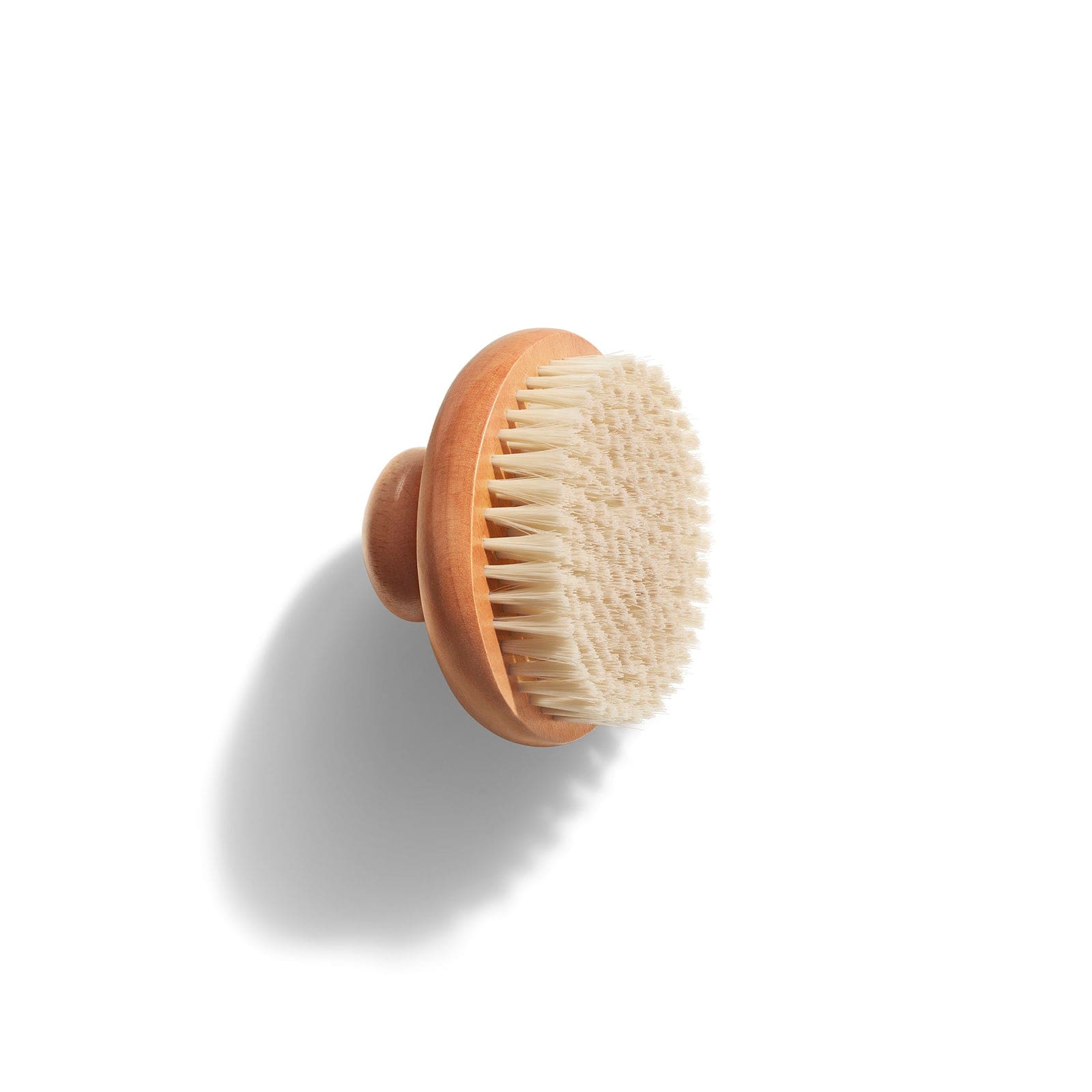 1_DTC_Dry_Brush_Render_P-Page
